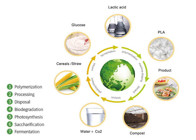Биоразлагаемый материал для упаковки пищевых продуктов - смола в виде гранул PLA стала новым фаворитом индустрии упаковки пищевых продуктов.
